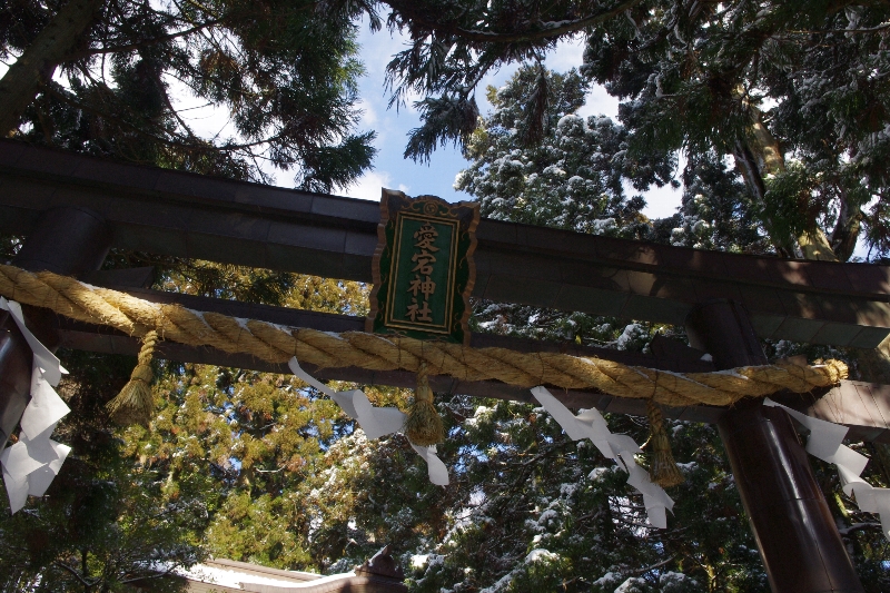 c0113733_1293819.jpg