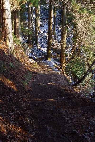 c0113733_1353962.jpg