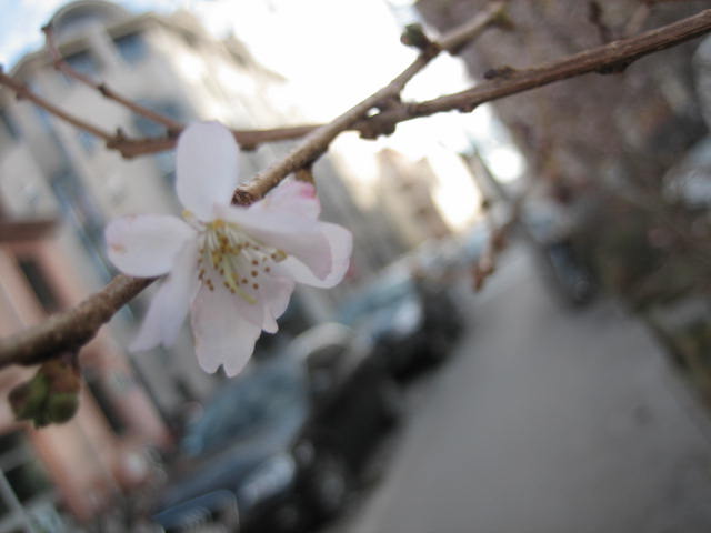 b0167334_1324194.jpg
