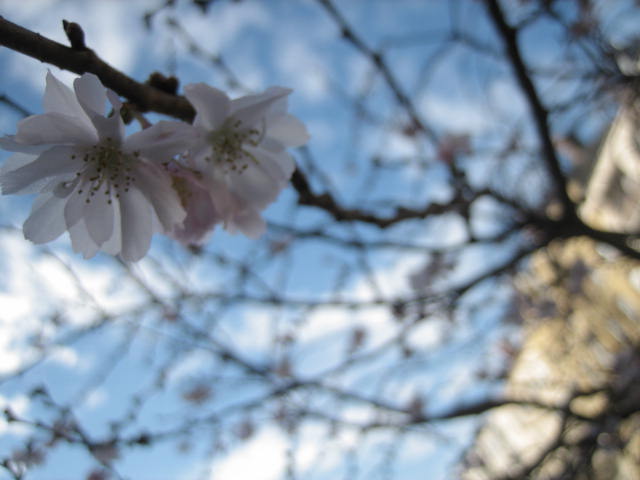 b0167334_1353847.jpg