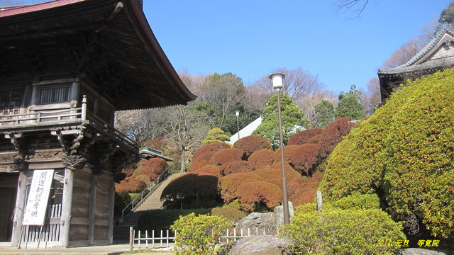 d0323339_12594554.jpg