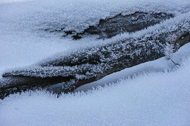 a0247342_1212232.jpg