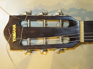 b0090654_41456.jpg