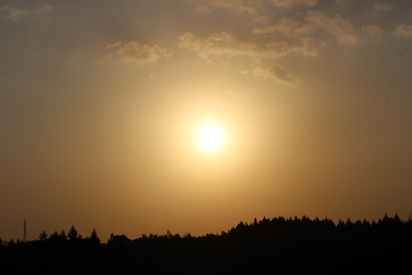 a0174458_10414666.jpg