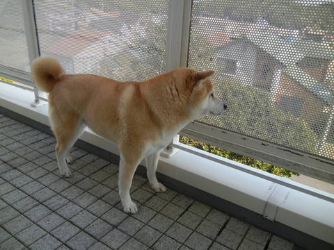 f0060461_12425952.jpg
