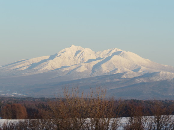 b0146166_16223681.jpg
