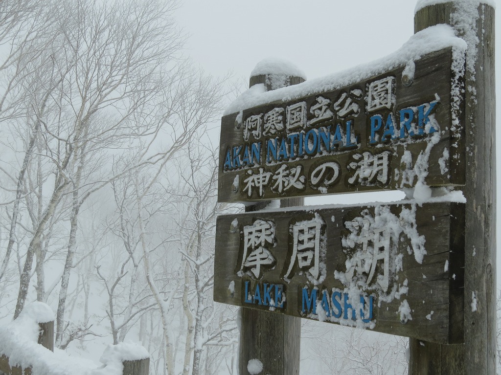 b0146166_16311437.jpg