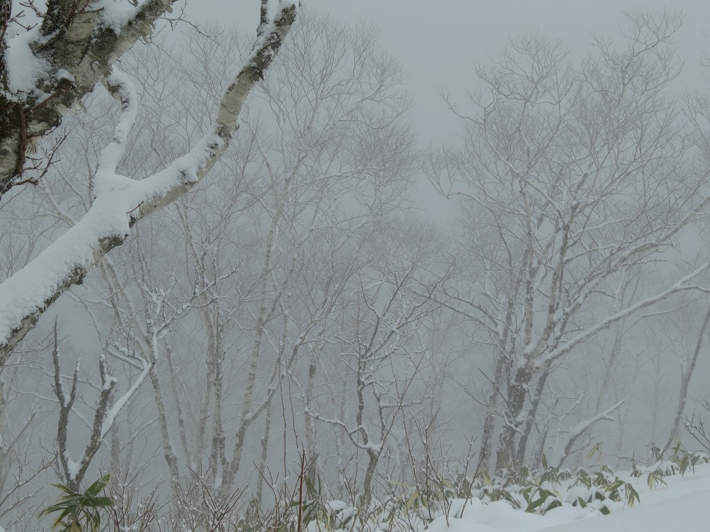 b0146166_16313523.jpg