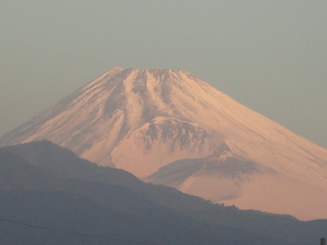 d0109373_751837.jpg