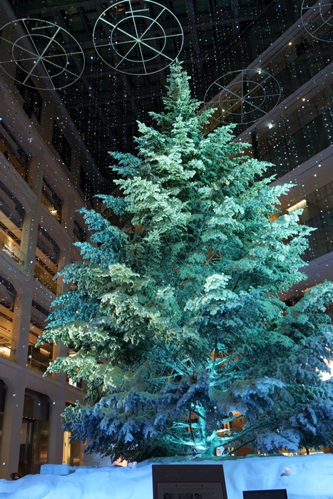 丸の内イルミネーション13 ディズニーのクリスマス エーデルワイスブログ