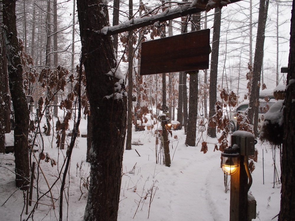 雪降る2014年元旦の風景と初エゾリス君です。_f0276498_21175579.jpg