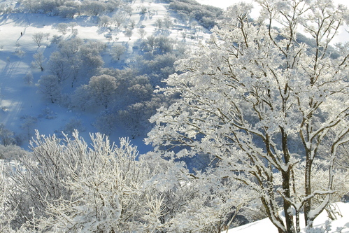 e0304001_2150577.jpg