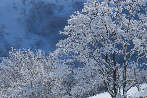 e0304001_21514211.jpg