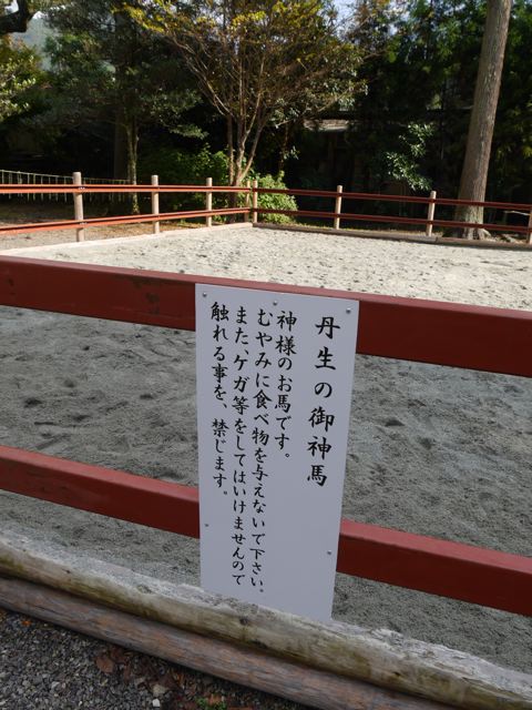 f0144003_18275343.jpg