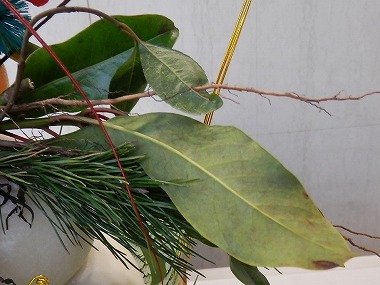 c0187004_2322816.jpg