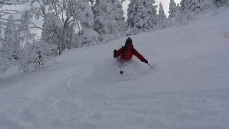 2013年12月21日八甲田は冬の好天_c0242406_44035.jpg