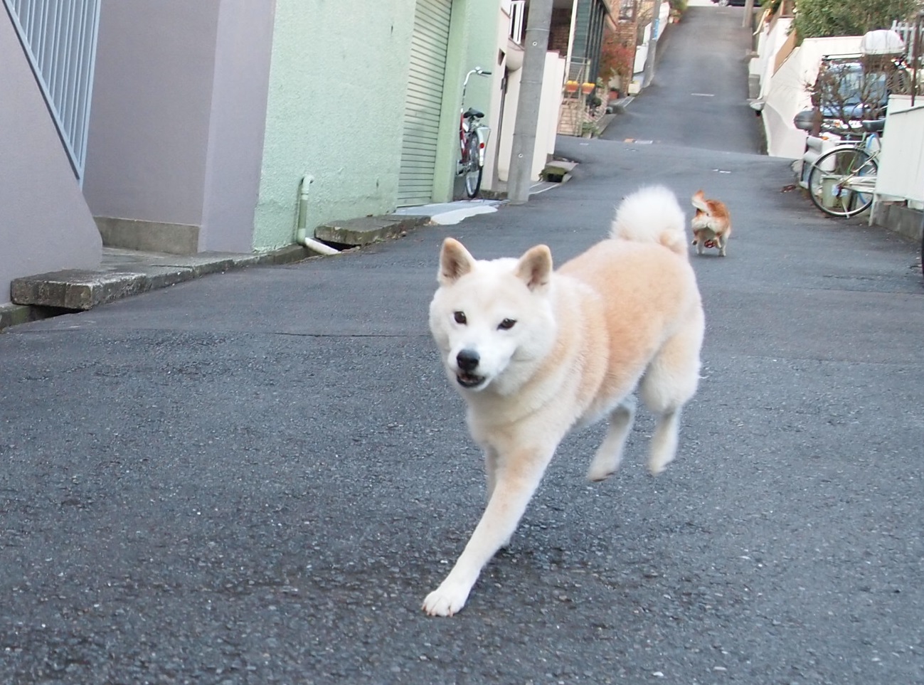 あけましておめでとうございます♪_e0131506_13321792.jpg