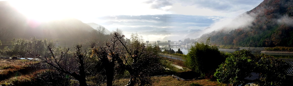 a0080610_0361388.jpg