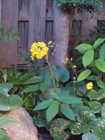 c0101913_1215411.jpg
