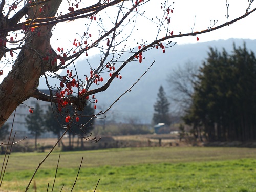 c0247614_037745.jpg