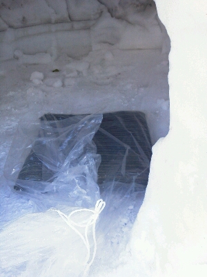 c0280016_22265165.jpg