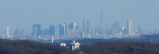 b0199522_17225219.jpg