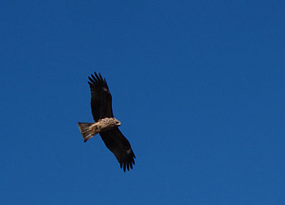 b0199522_17232845.jpg