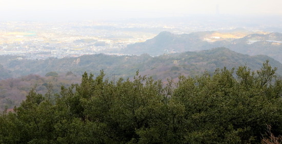 a0048823_1673642.jpg