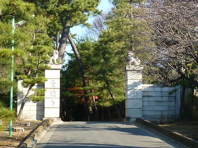 恒例豪徳寺への初詣 前編_b0166128_16555861.jpg