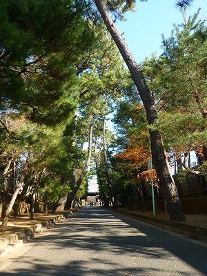 恒例豪徳寺への初詣 前編_b0166128_1729671.jpg