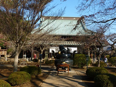 恒例豪徳寺への初詣 前編_b0166128_1733825.jpg