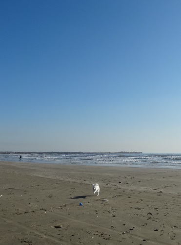a0024829_22473067.jpg