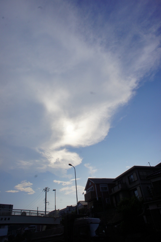a0217029_333683.jpg