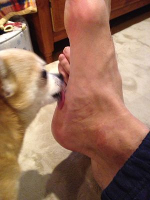 c0298732_01331.jpg