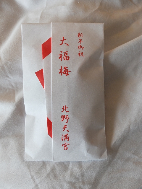 大福梅_f0050534_11462261.jpg