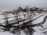 f0167635_1211485.jpg