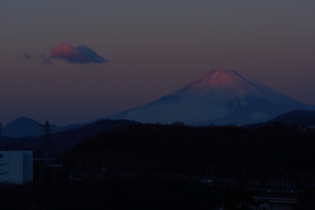 2014年1月2日　中井町　紅富士_c0314839_08185608.jpg