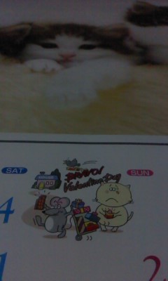 冷食の中に農薬が混入されていた_b0217741_22523123.jpg