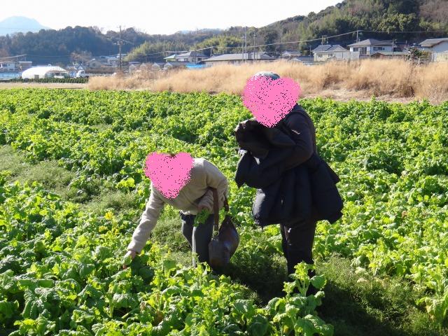 年末年始の一碧湖~熱川温泉☆その1_e0195743_1335294.jpg