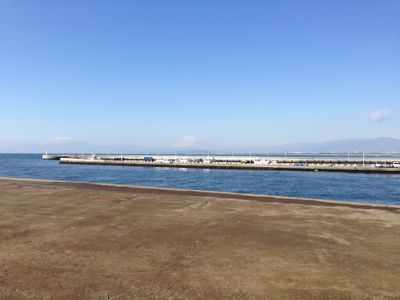 初詣はどちらに?_f0140343_2211255.jpg