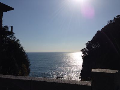 初詣はどちらに?_f0140343_22114172.jpg