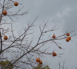 2014年1月2日_f0197754_23262330.jpg