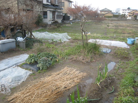 e0121558_22413644.jpg