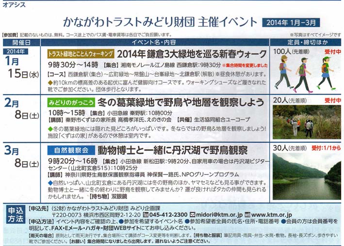 1・15鎌倉３大緑地を巡る新春ウォーク：トラストみどり財団_c0014967_8185211.jpg