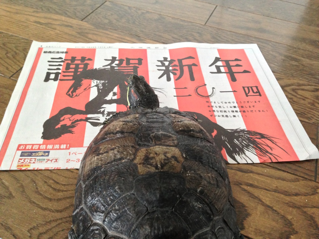 謹賀新年2014_e0261371_10055427.jpg