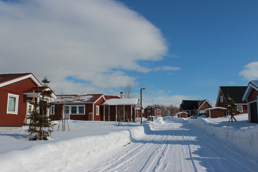 a0241377_993217.jpg