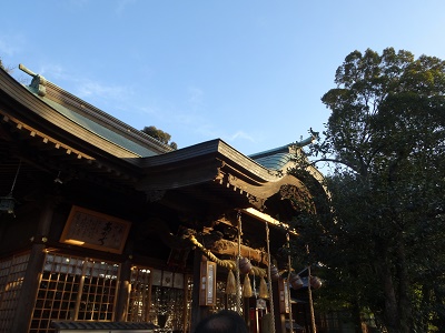猫とドライブ_d0195183_22194580.jpg