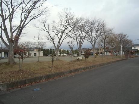 d0261484_16563227.jpg