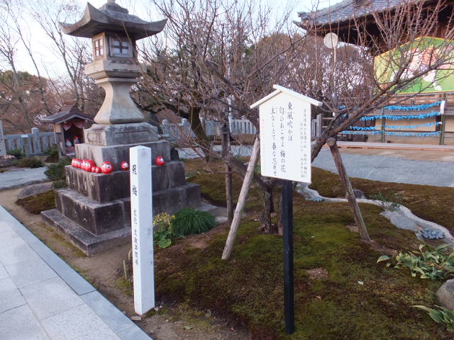 a0271502_1426193.jpg