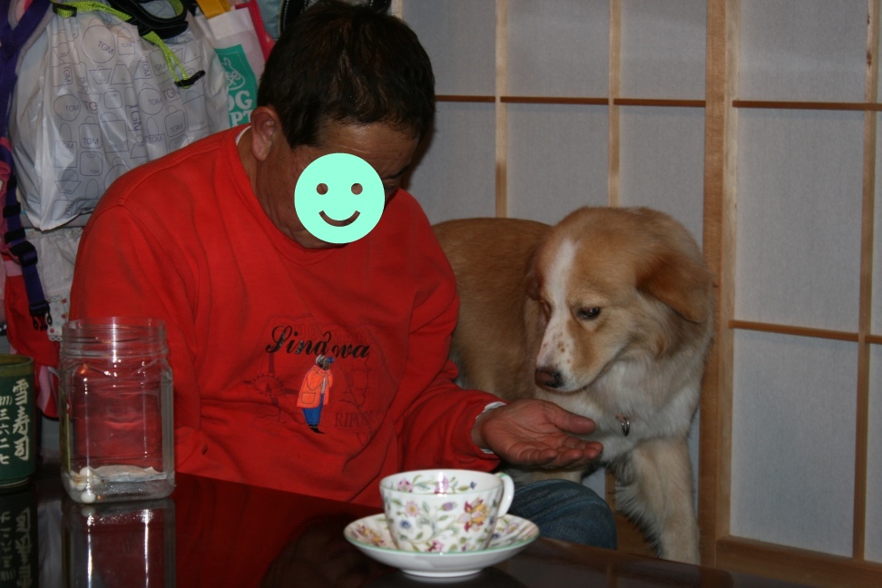 橙ちゃん 新生活スタート!_f0242002_2144765.jpg